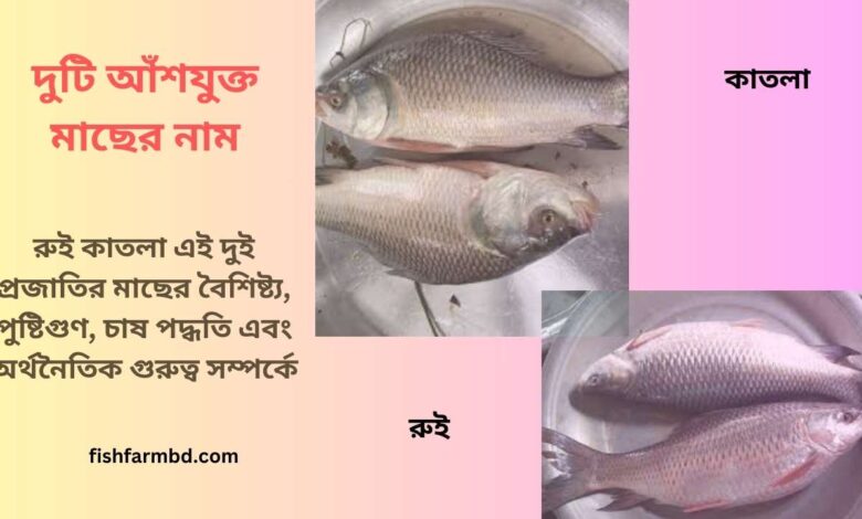 দুটি আঁশযুক্ত মাছের নাম