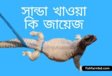 সান্ডা খাওয়া কি জায়েজ