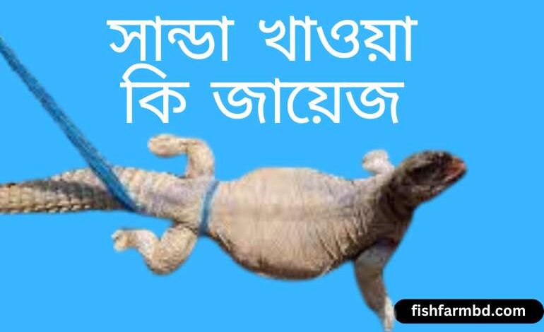 সান্ডা খাওয়া কি জায়েজ